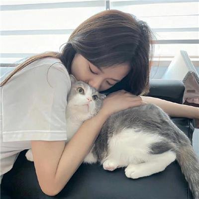 君有云